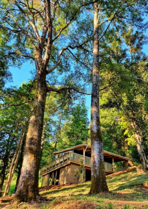 Cabaña con vistas al Río y la Selva Valdiviana